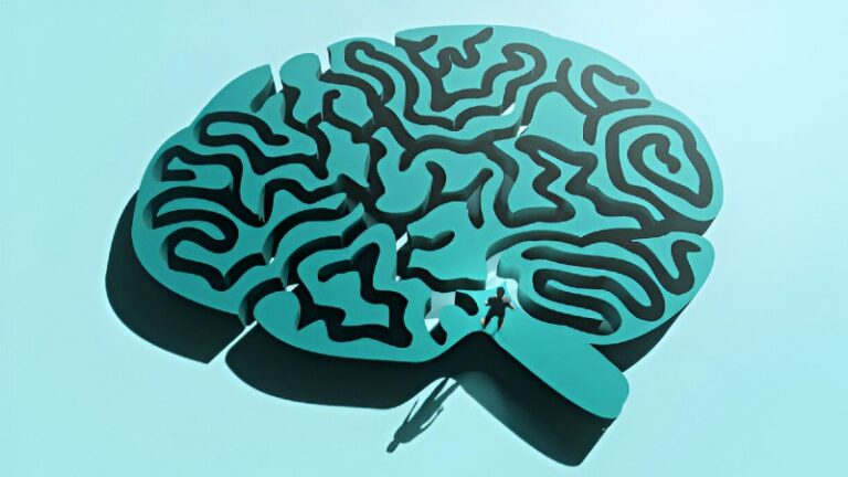 The Marvels of Memory: How Your Brain Stores Your Life Story