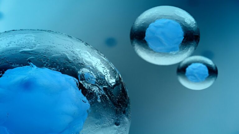 The Microscopic Marvels: Unveiling the Secrets of Life at the Cellular Level