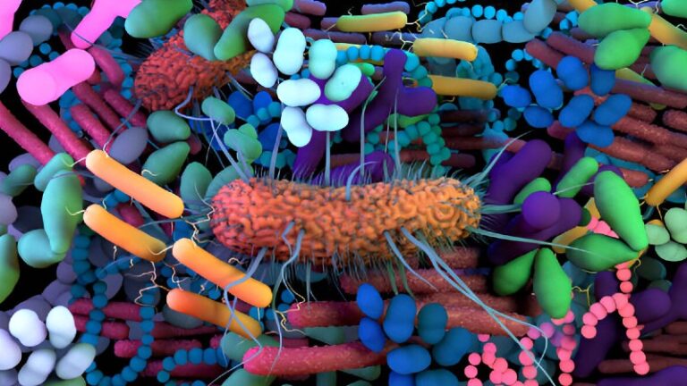 The Role of Microbiomes in Human Health