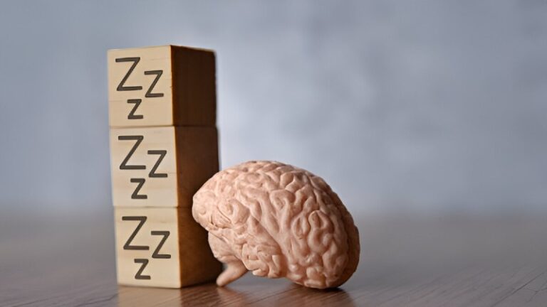 The Science of Sleep and Its Impact on the Brain