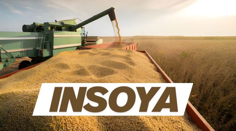 Insoya: The Smart Switch to Sustainable Plant Protein That Actually Works insoya
